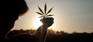 revolusi ganja